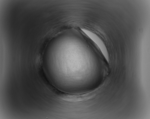 X0000088040029200705251311