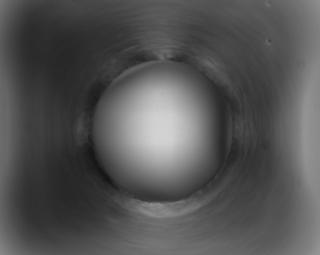 X0000088040030200705251311