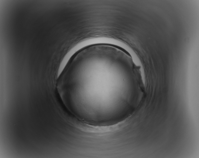 X0000088040031200705251311