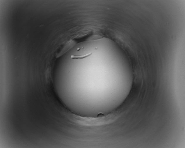 X0000088040034200705251311