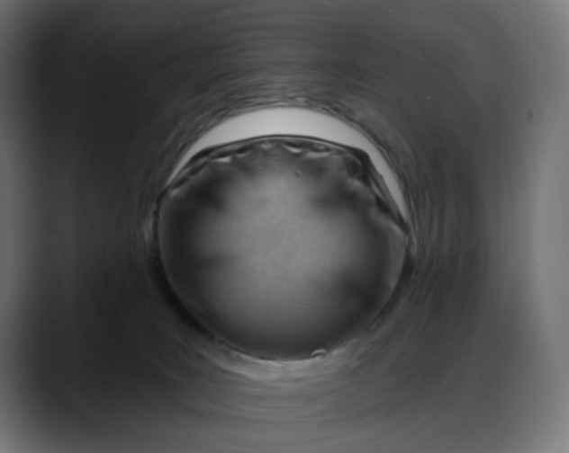 X0000088040035200705251311