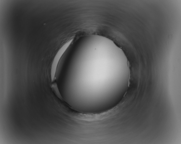 X0000088040037200705251311