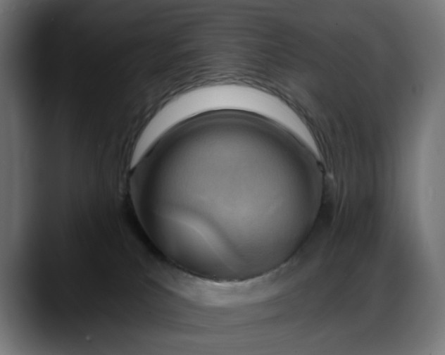 X0000088040039200705251311