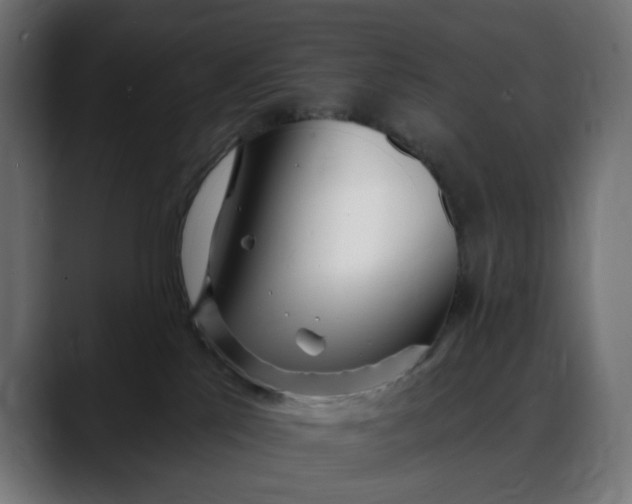 X0000088040041200705251311