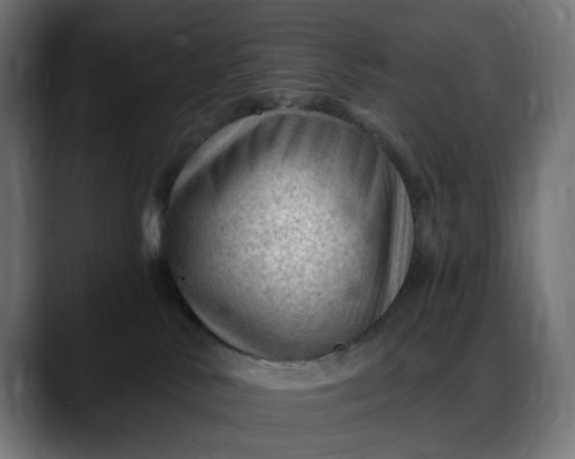 X0000088040042200705251311