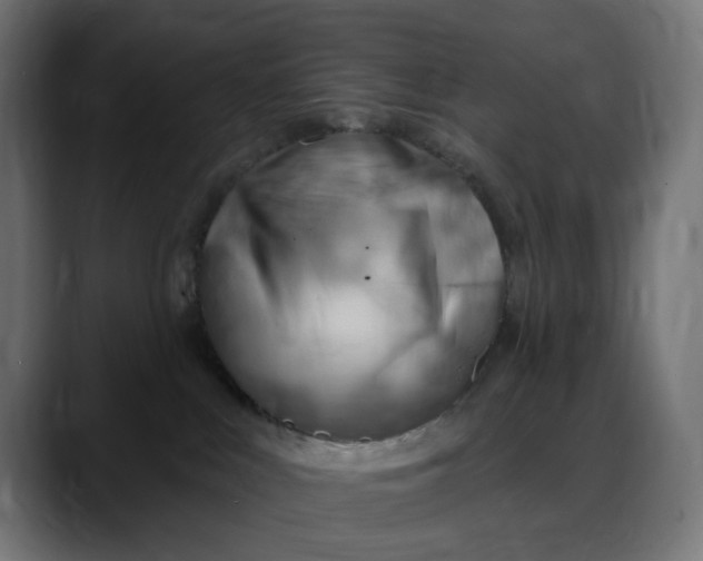 X0000088040043200705251311