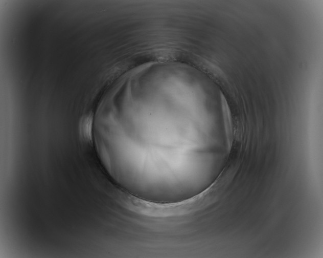 X0000088040047200705251311