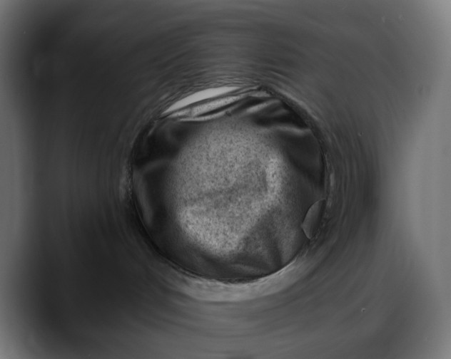 X0000088040048200705251311