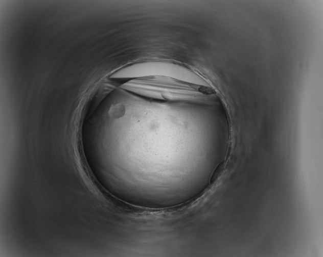 X0000088040049200705251310