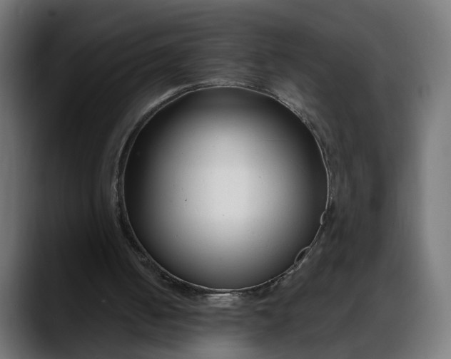 X0000088040050200705251310