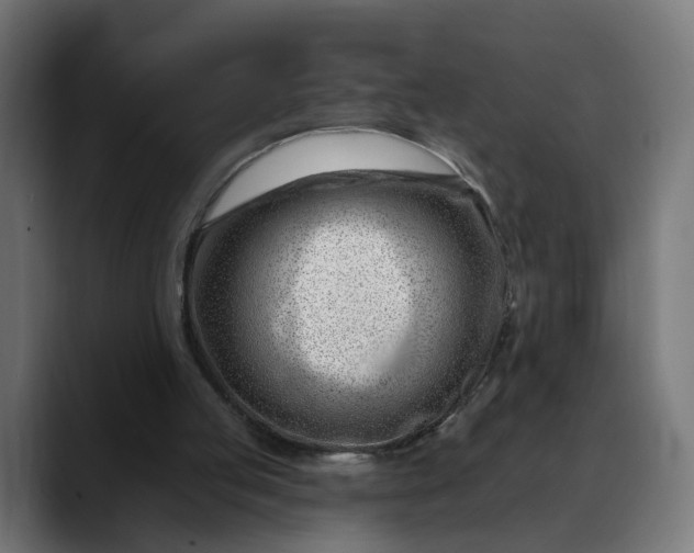 X0000088040053200705251310