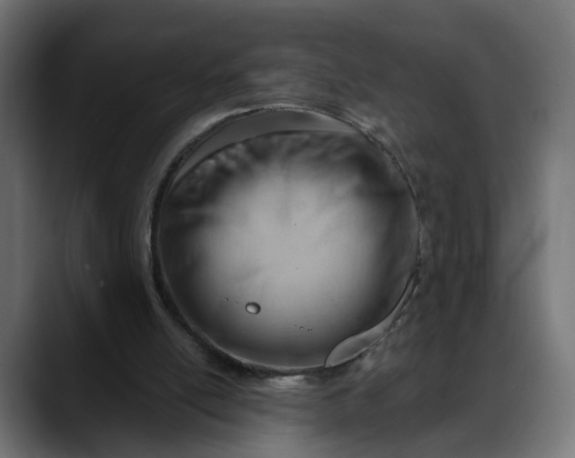 X0000088040054200705251310