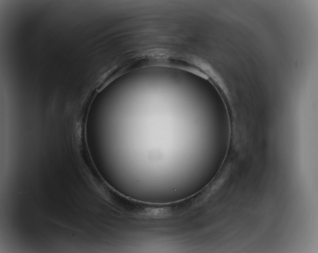 X0000088040057200705251310