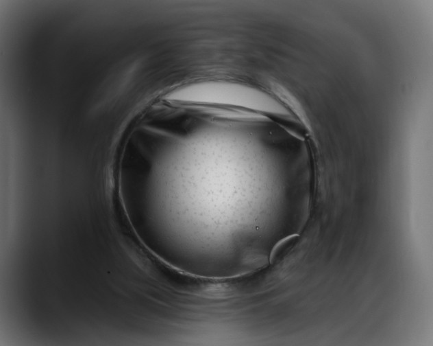 X0000088040059200705251310