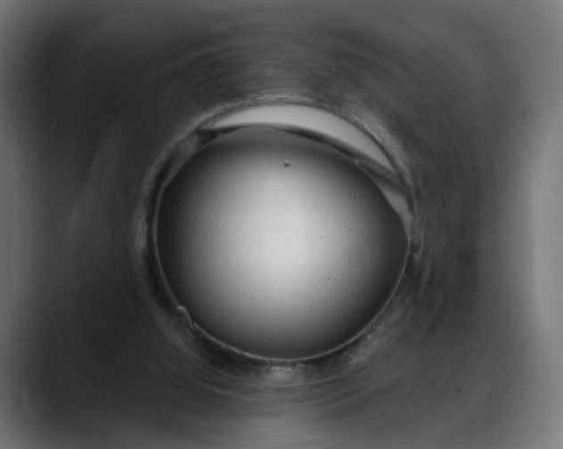 X0000088040060200705251310