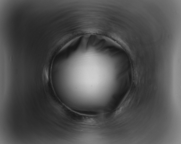 X0000088040062200705251310