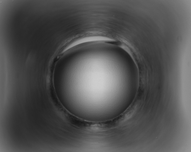 X0000088040064200705251310