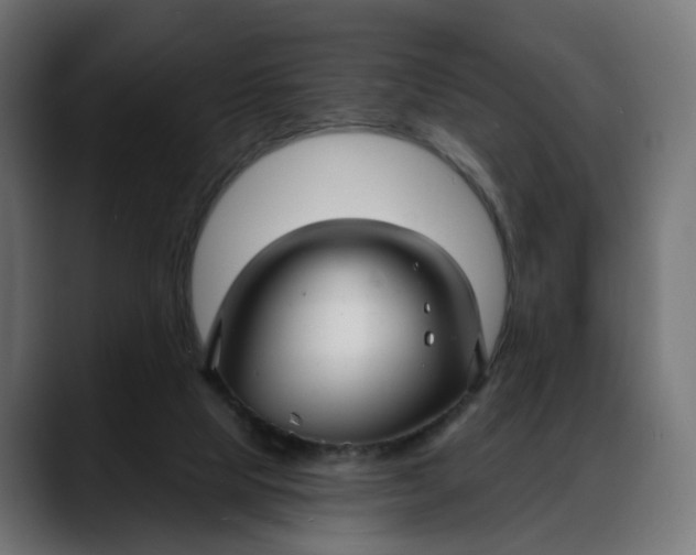 X0000088040065200705251310