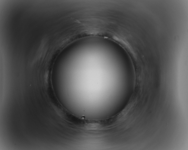 X0000088040066200705251310