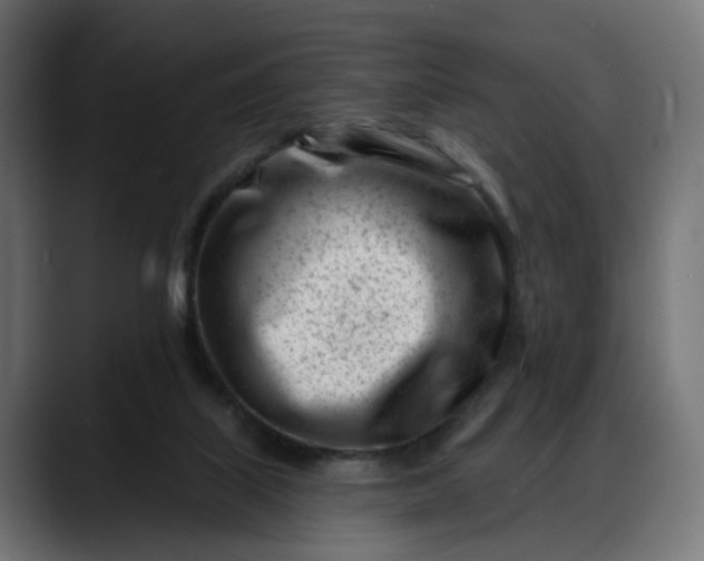 X0000088040067200705251310