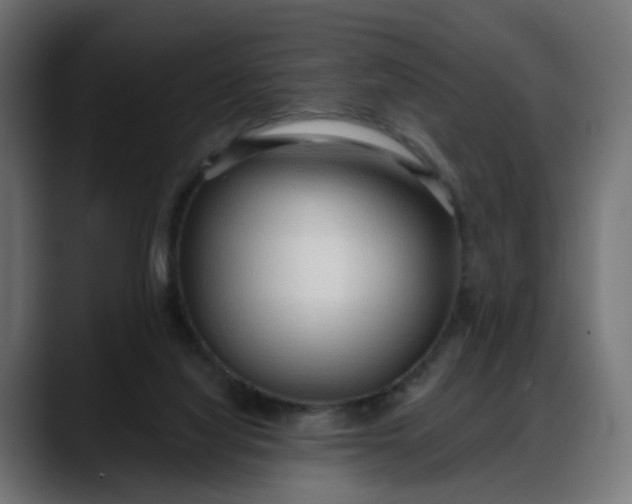 X0000088040068200705251310