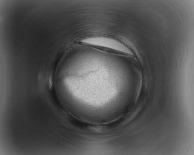 X0000088040069200705251310