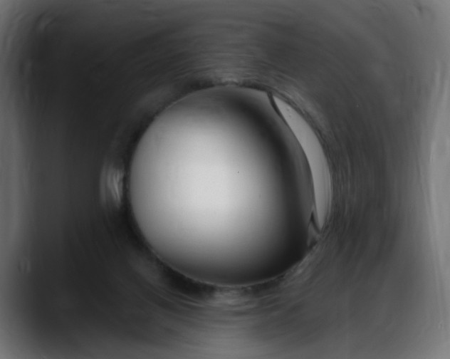 X0000088040070200705251310