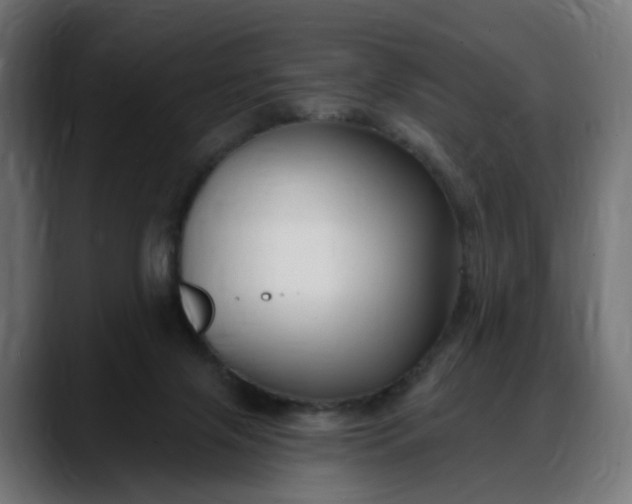 X0000088040071200705251310