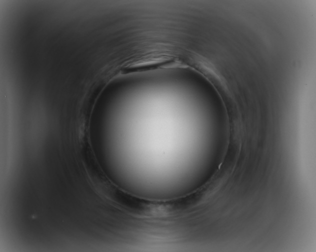 X0000088040073200705251310