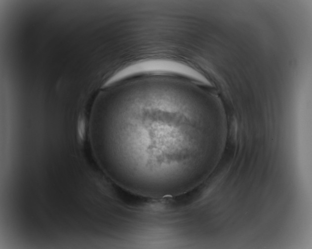 X0000088040076200705251310