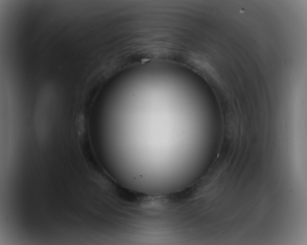 X0000088040077200705251310