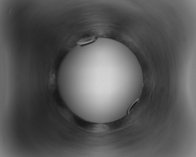 X0000088040087200705251310