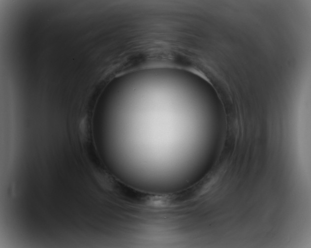 X0000088040088200705251310