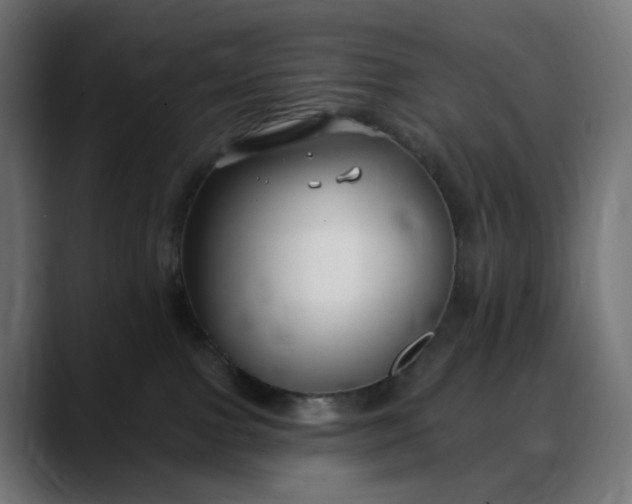 X0000088040091200705251310