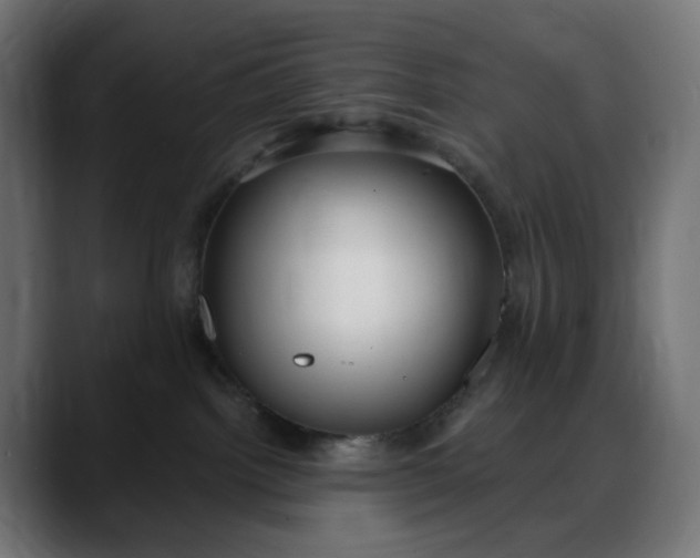 X0000088040092200705251310