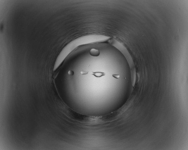 X0000088040093200705251310