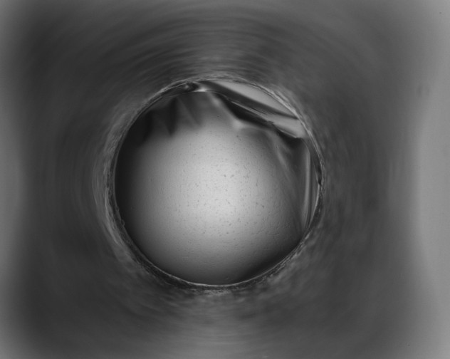 X0000088040097200705251310