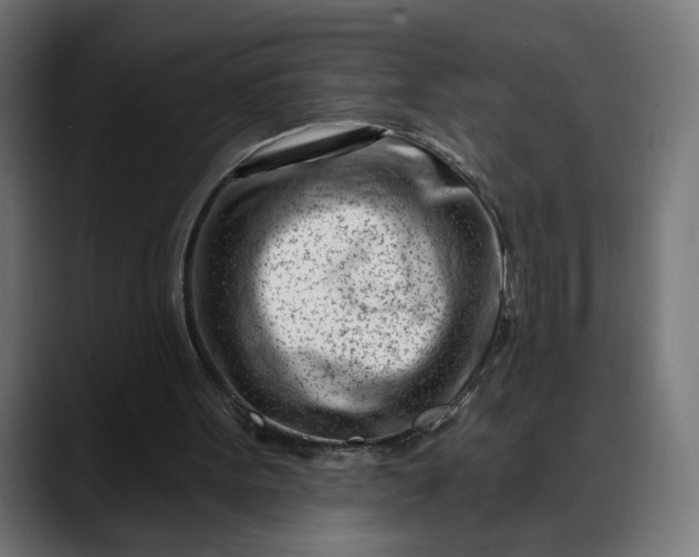 X0000088040099200705251310