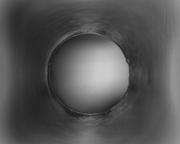 X0000088040100200705251310