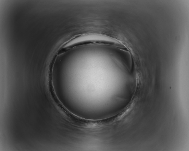 X0000088040101200705251310