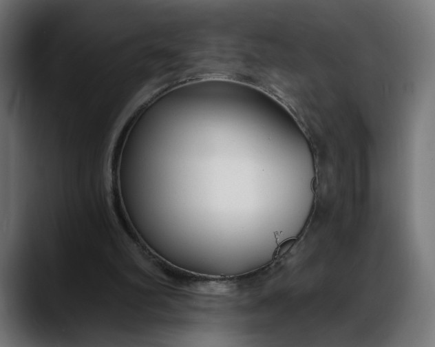 X0000088040102200705251310