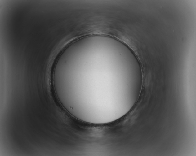 X0000088040103200705251310