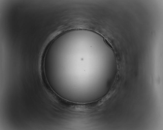 X0000088040104200705251310