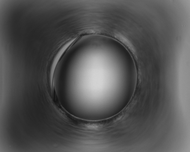 X0000088040105200705251310