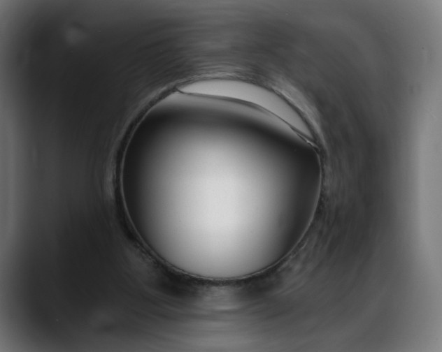 X0000088040107200705251310