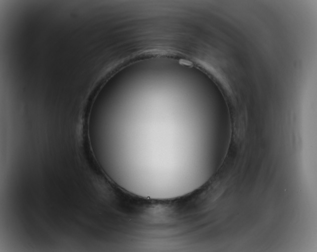 X0000088040111200705251310