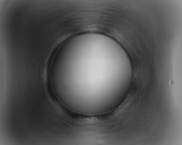 X0000088040112200705251310