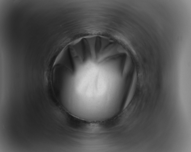 X0000088040114200705251310