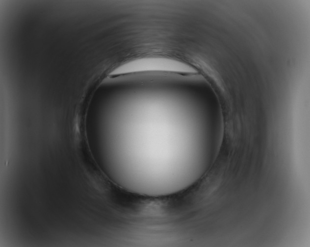 X0000088040115200705251310