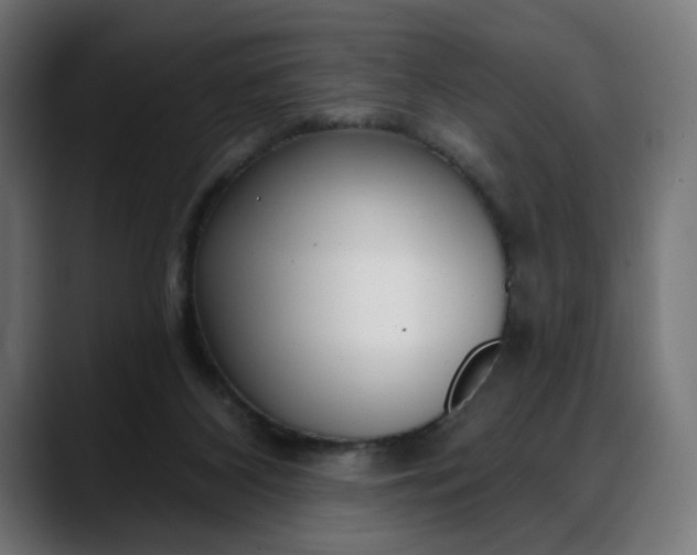 X0000088040116200705251310